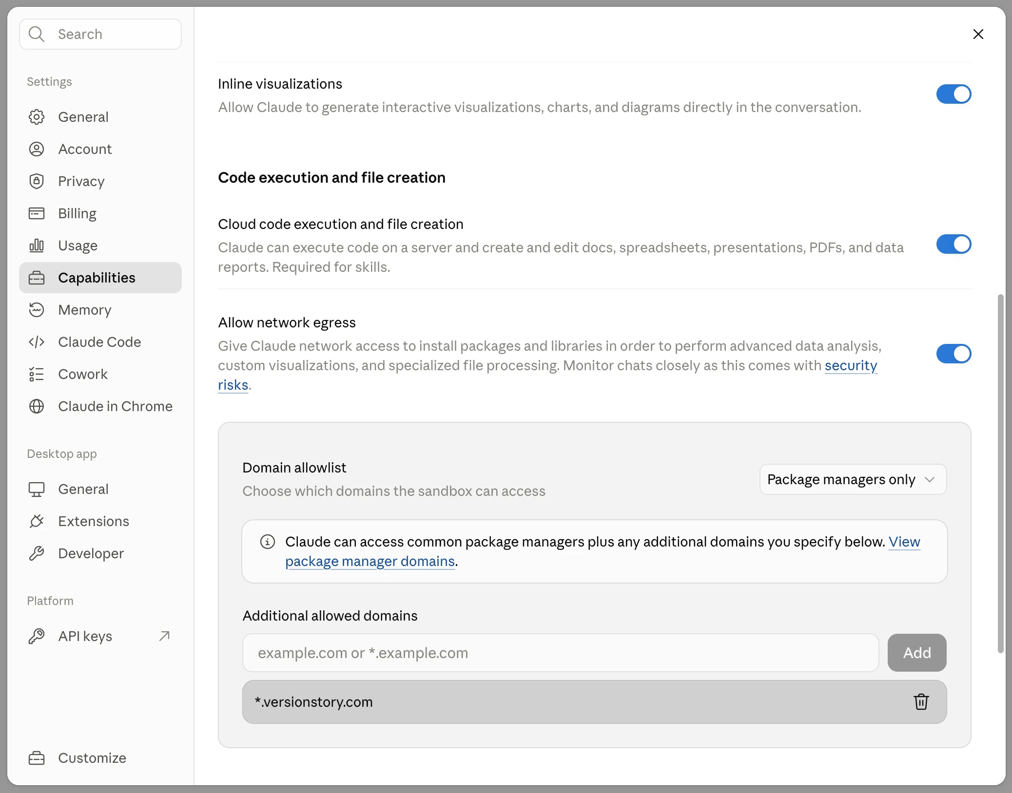 Capabilities screen with network egress enabled and the domain added